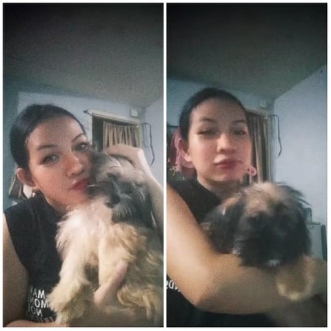 Person and Fluffy Dog