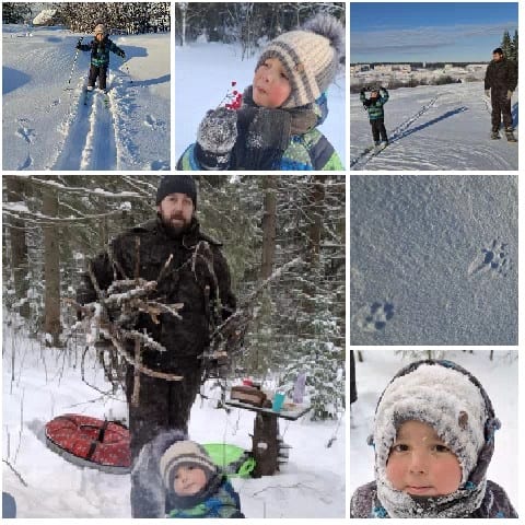 Winter Adventures in Snow