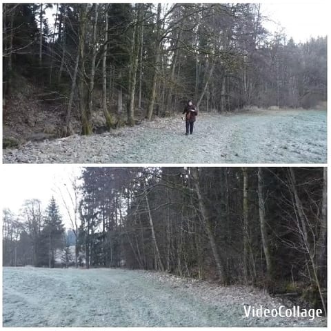 Frosty Path in Wooded Area