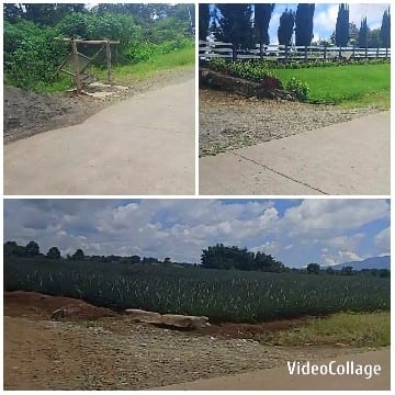 Pathway and Grassy Area Photos