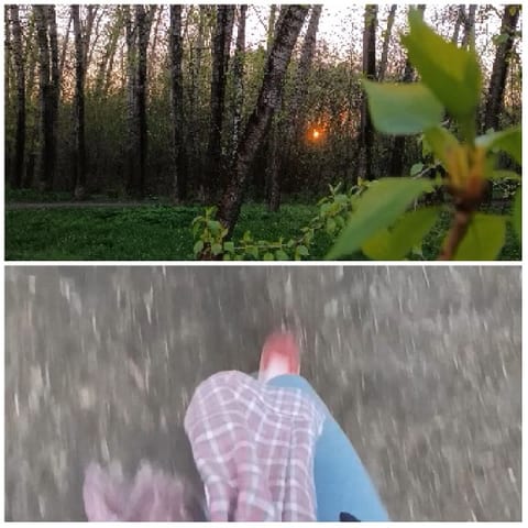 Forest Sunrise and Gravel Path Walk