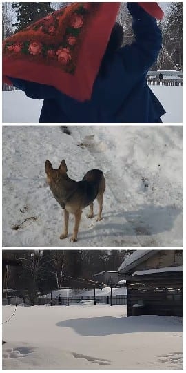 Person with Blanket in Snow