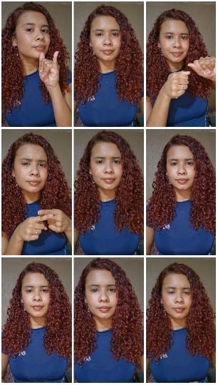 Sign Language Gestures in Action
