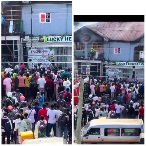 Crowd at Lucky Herbal Center
