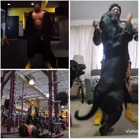 Gym Physique and Dog Interaction