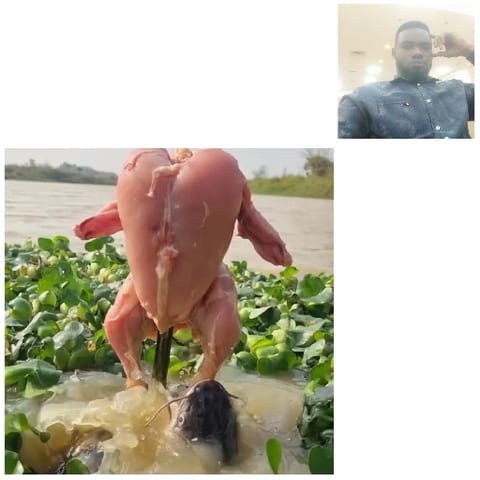 Plucked Chicken Near Water