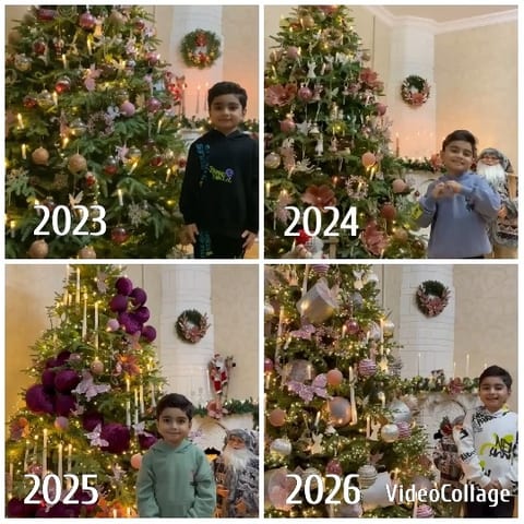 Boy by Decorated Christmas Trees