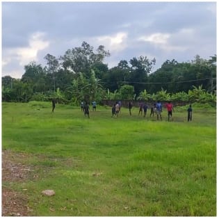 People Standing in Grassy Field