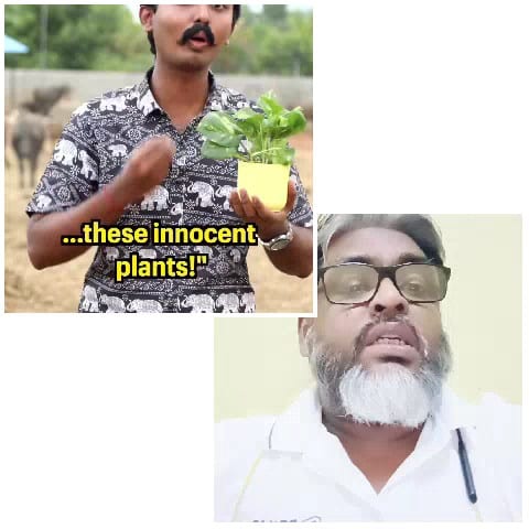 Plant Care and Conversation