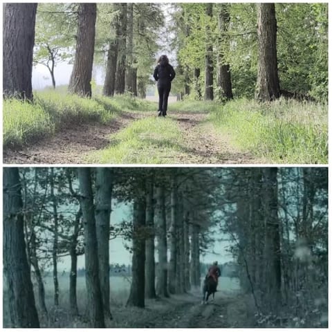 Walking in Forest and Horse Riding