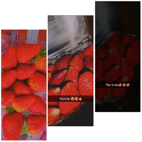Fresh Strawberries in Containers
