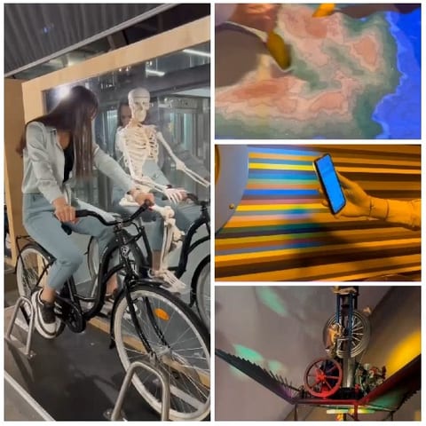 Educational Museum-Like Display