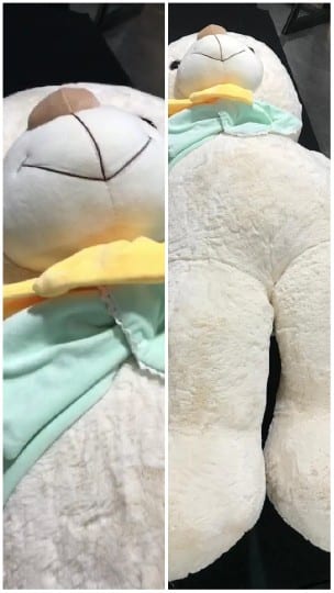 Plush Teddy Bear from Different Angles