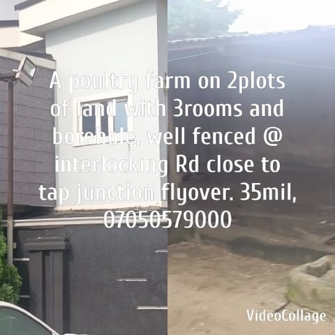 Modern and Rustic Building Split