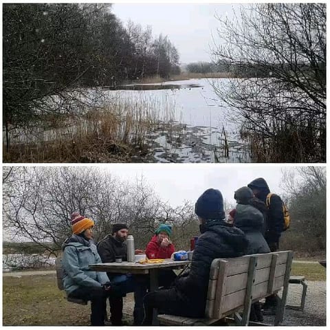 Winter Landscape and Picnic Gathering
