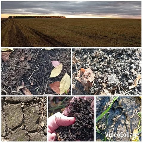 Soil Textures and Nature Scenes