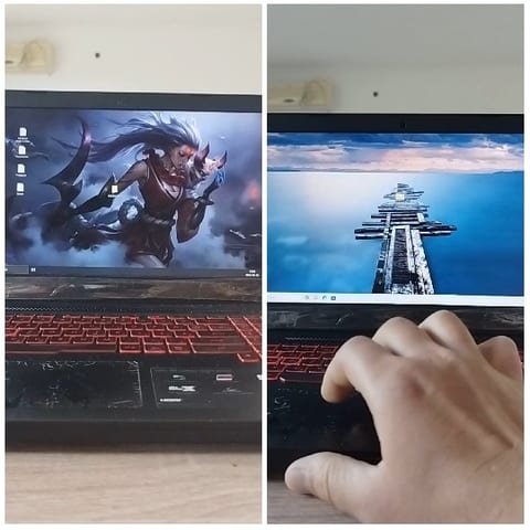 Laptops with Fantasy and Serenity