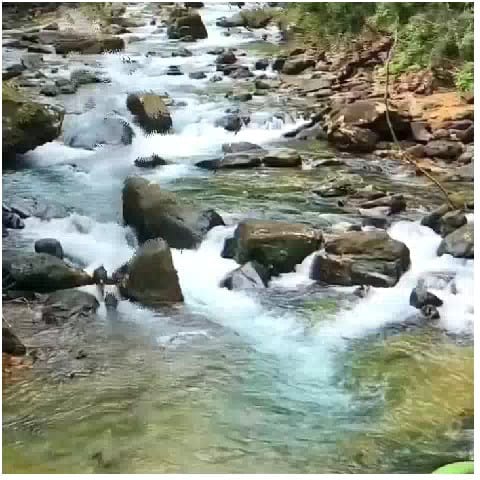 Tranquil River Flowing Through Greenery