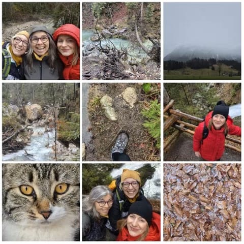 Nature and Smiling Friends