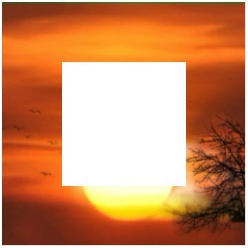 Bright Sunset with Silhouettes