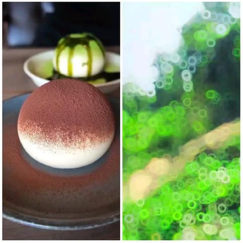 Dessert Plate with Bokeh Effect