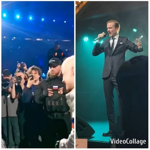 Concert Crowd and Performer on Stage