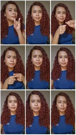 Sign Language Gestures in Action