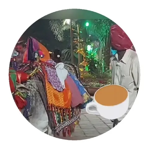 Walking Beside a Colorful Camel
