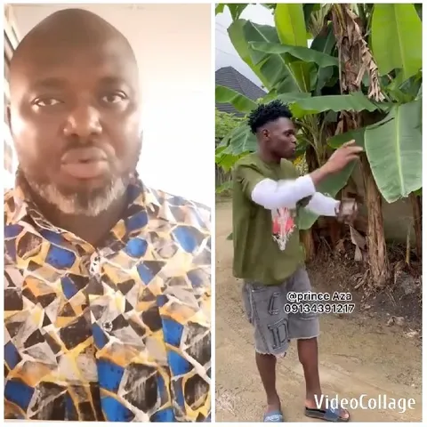Man By Banana Plants Gesture