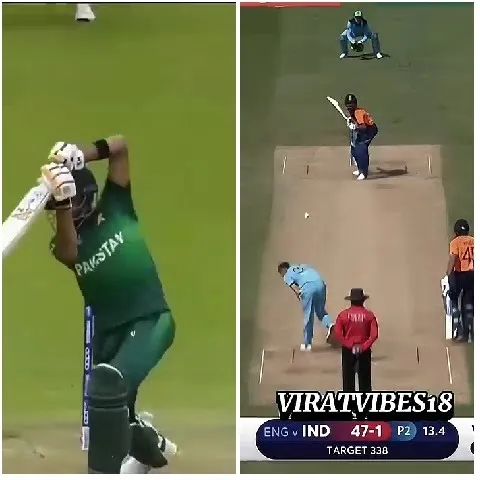 Cricket Players in Action