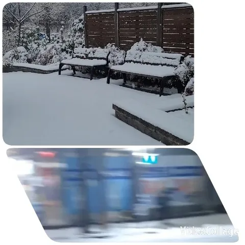 Snowy Landscape with Benches