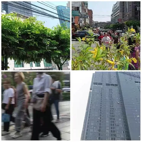 City Life and Modern Architecture