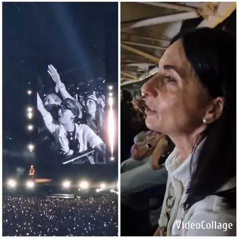 Concert Crowd and Close-Up Audience