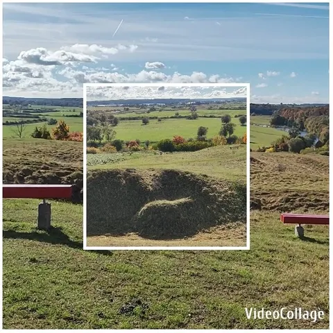 Grassy Landscape with Park Bench