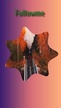 Train Among Autumn Trees