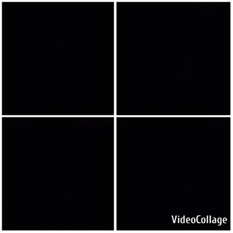 Black Square with Text Overlay