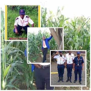 Group in Uniforms in Tall Plants