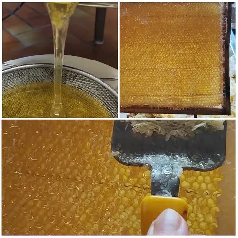 Honey Pouring and Honeycomb Close-ups