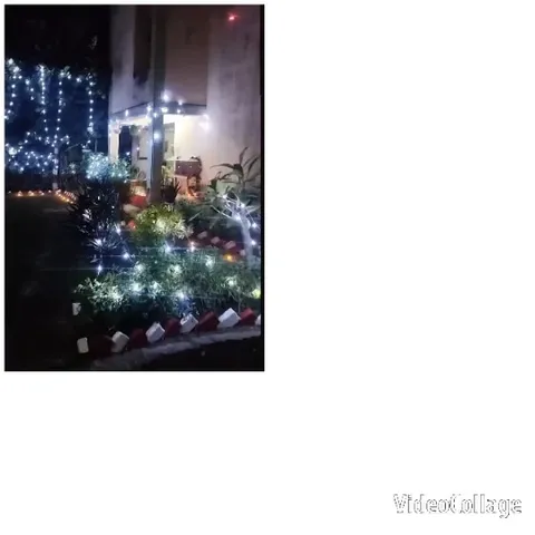 Garden with String Lights at Night