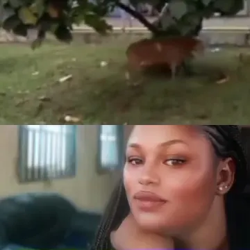 Deer in Nature and Woman at Home