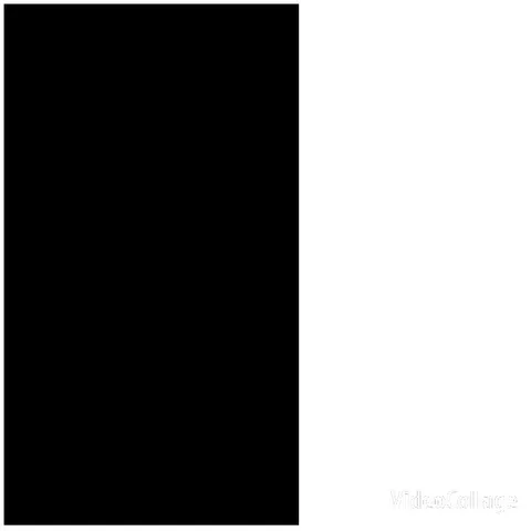 Black and White Rectangle Split