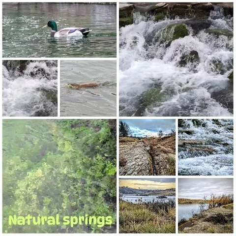 Natural Water Scenes and Landscapes