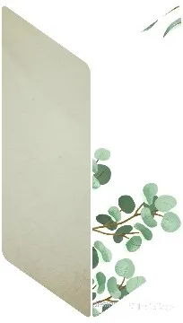Geometric Shape and Eucalyptus Branch