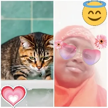 Cat and Heart in Bathroom