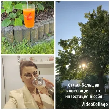 Drink and Nature in Three Sections