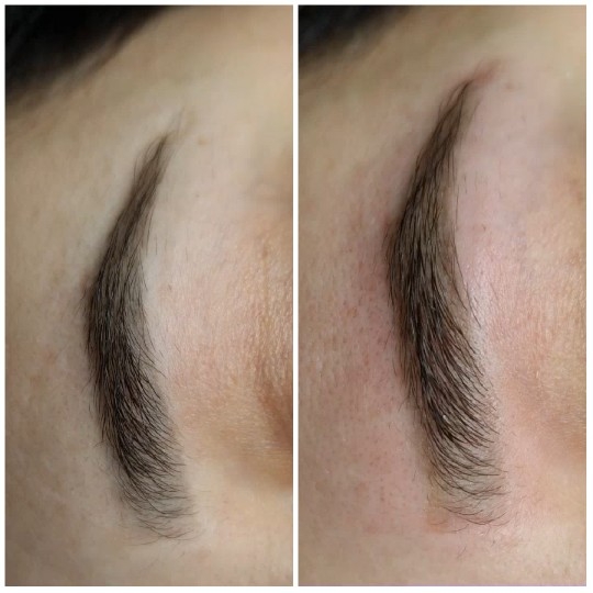 Comparison of Two Eyebrows