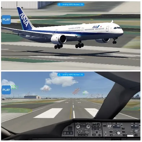 Airplane Landing and Cockpit View