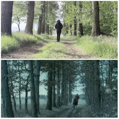 Walking in Forest and Horse Riding