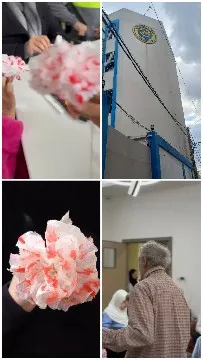 Paper Flower and Building Views