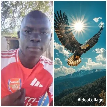 Eagle Soars Above Mountain Landscape
